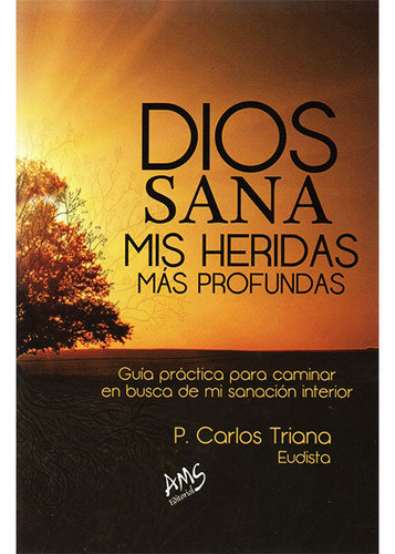 Una oración de sanación interior de gran ayuda para las personas que sufren el profundo dolor de las heridas íntimas.