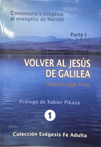 VOLVER AL JESUS DE GALILEA -I