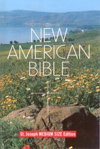 NEW AMERICAN BIBLE Medium size