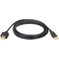 USB Extension Cable 3' A Male
