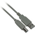 15ft USB 2.0 A Male to B Male Cable - Beige