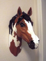 Custom Painted Horse Head