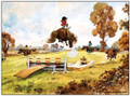 Norman Thelwell "Spring Feeling" Placemats, Set of 4