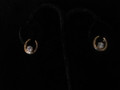 Single Stone Horseshoe Earrings Small