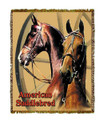Saddlebred Throw

SKU # A19-1401G


Two elegant American Saddlebred horses are beautifully displayed on this stunning throw. 

100% cotton tapestry afghan.

Machine washable.

Made in the USA.