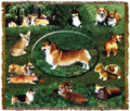 Corgi Throw

SKU # A19-1401K


Sweet Corgis are beautifully displayed on this stunning throw. 

100% cotton tapestry afghan.

Machine washable. Made in the USA.

2.5 lbs.

60"L x 48"W