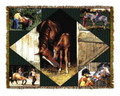 Horse Lovers Throw

SKU # A19-1401EN

Horse lovers are beautifully displayed on this stunning throw. 

100% cotton tapestry afghan.

Machine washable.

Made in the USA.

2.5 lbs.

60"L x 48"W