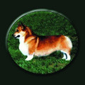 Corgi Pillow

SKU # A19-1201B

A sweet Corgi is beautifully displayed on this colorful pillow.

Made in the USA. 

2 lb.

16" W x 16" H x 2.5" D