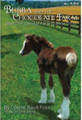 Bubba and the Chocolate Farm (Book One: Carriage Horse to Show Horse)