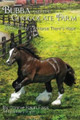 Bubba and the Chocolate Farm (Book Two: Where There's A Horse, There's Hope)