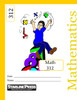 Mathematics 312