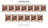Civics Complete Set - 12 Core Units and 50-State Addendum