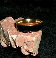 Stainless Steel ring with MASTER CARPATHIAN VAMPIRE
