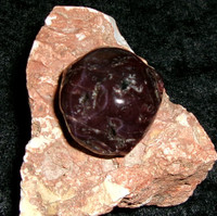 Garnet Stone with CARPATHIAN VAMPIRE 