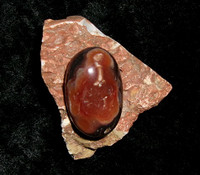 Stone with Hippalectyron
