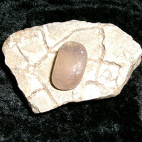 Stone with DANDY SPIRIT