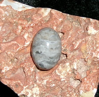 Stone with WERE-SNOW LEOPARD