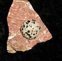 Stone with CAT SIDHE