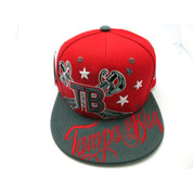 Men's Tampa Bay Snapback Hat