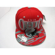 Men's Ohio Snapback Hat Paint
