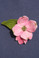 A single dimensional bloom makes a great pin! Pattern is "Bloomin' Dogwood" and we also have kits!