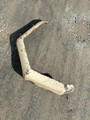 RIGHT REAR FENDER WHITE GOOD CONDITION 