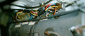 CABLE, GAS HEATER CONTROL (USED)