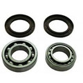 REAR  AXLE WHEEL BEARING AND SEAL KIT ONE SIDE