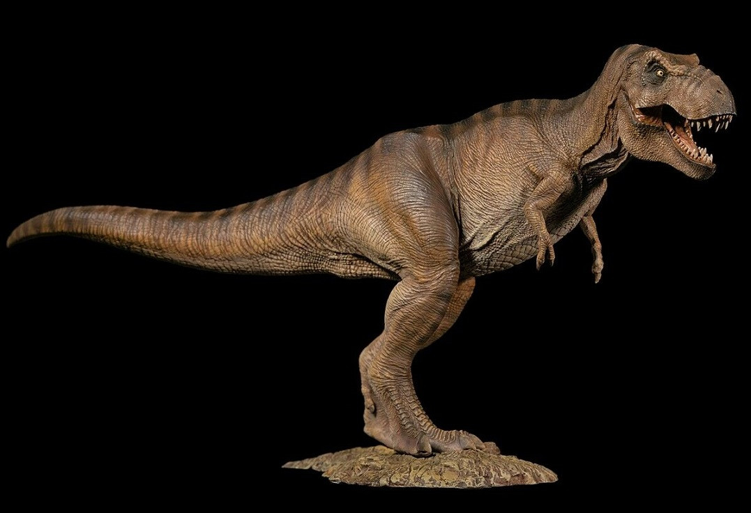 Tyrannosaurus Female by W-Dragon - Dan's Dinosaurs