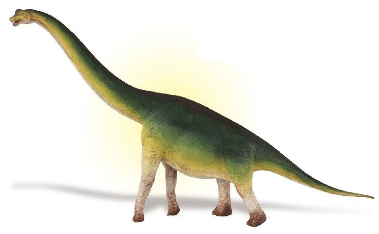 Brachiosaurus by Wild Safari - Dan's Dinosaurs
