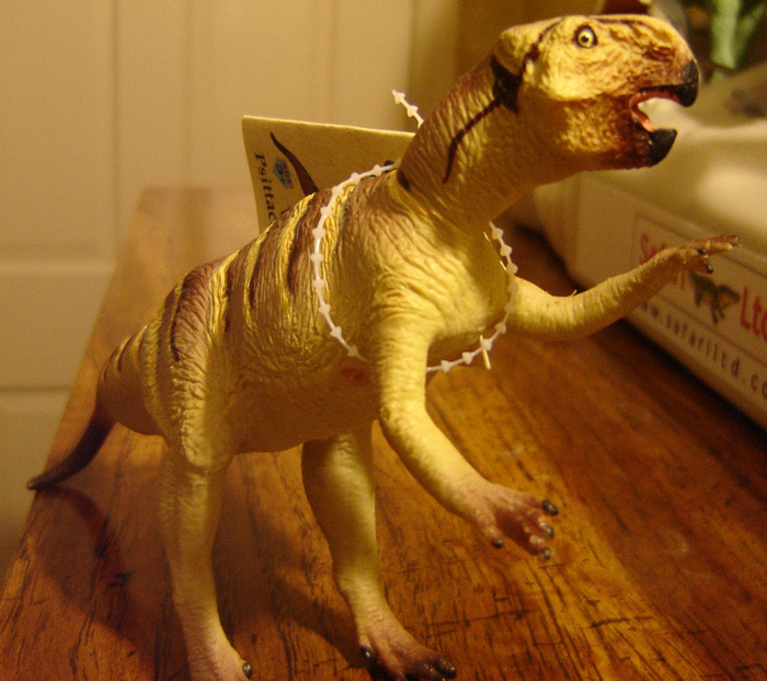 Psittacosaurus by Carnegie - Dan's Dinosaurs