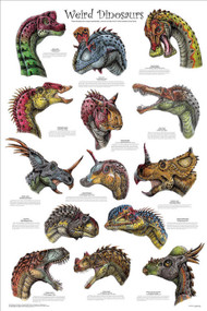 Dinosaur Evolution Poster Dan S Dinosaurs