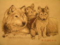 Mother Wolfs and Pups (Not For Sale)