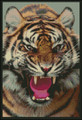 The Roar Of A Tiger