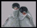 Hugging Penguins