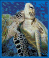 Loving Sea Turtles