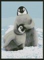 Penguins Noogie