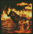 Fire and Water Wolf