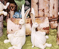 AS1212 Bunny Couple 9.5"x5"x8.5"