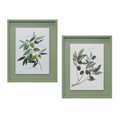 Framed Olive Prints 15.75" L x 19.75 H-Set Of 2
