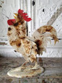 Rusty Rooster on Stand