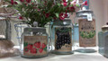Set of 3 Bailey Lidded Glass jars