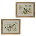 20" Wooden Frame with Glass Bird Prints Set of 2