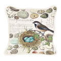 Egg and Nest Collection-Pillow