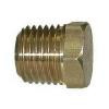 	 1/8in Mip Brass Plug With Hex Cap Cored to reduce weight 2MP-B [2MP-B]