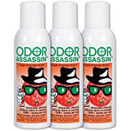  Odor Assassin Orange, Set of 3