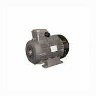 AR Pump R1245A Electric Motor 15 HP - 24mm Hollow Shaft 1750 rpm [R1245A]