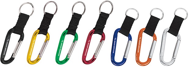 8colors-carabinerkeyring.jpg