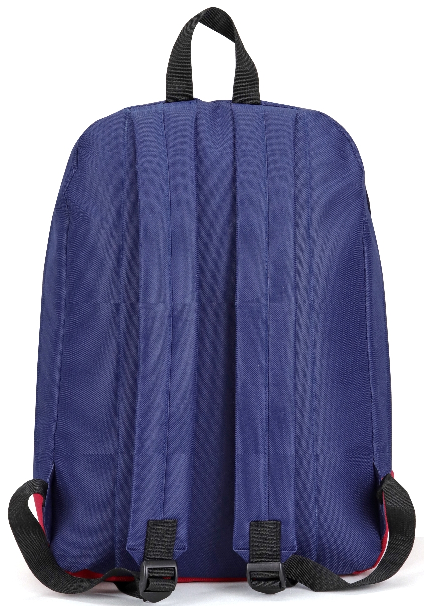 capam-laptopbackpack-back.jpg