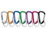 Carabiner Keyring